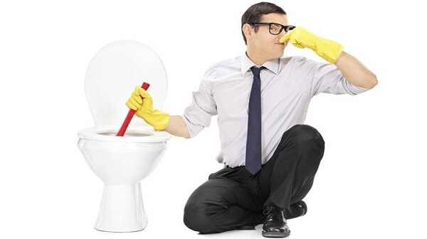 Remontes d'odeurs dans les toilettes, do vient le problme?